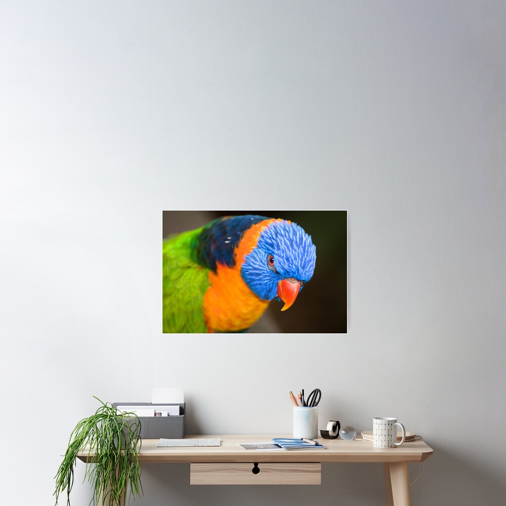 Stare Down Poster