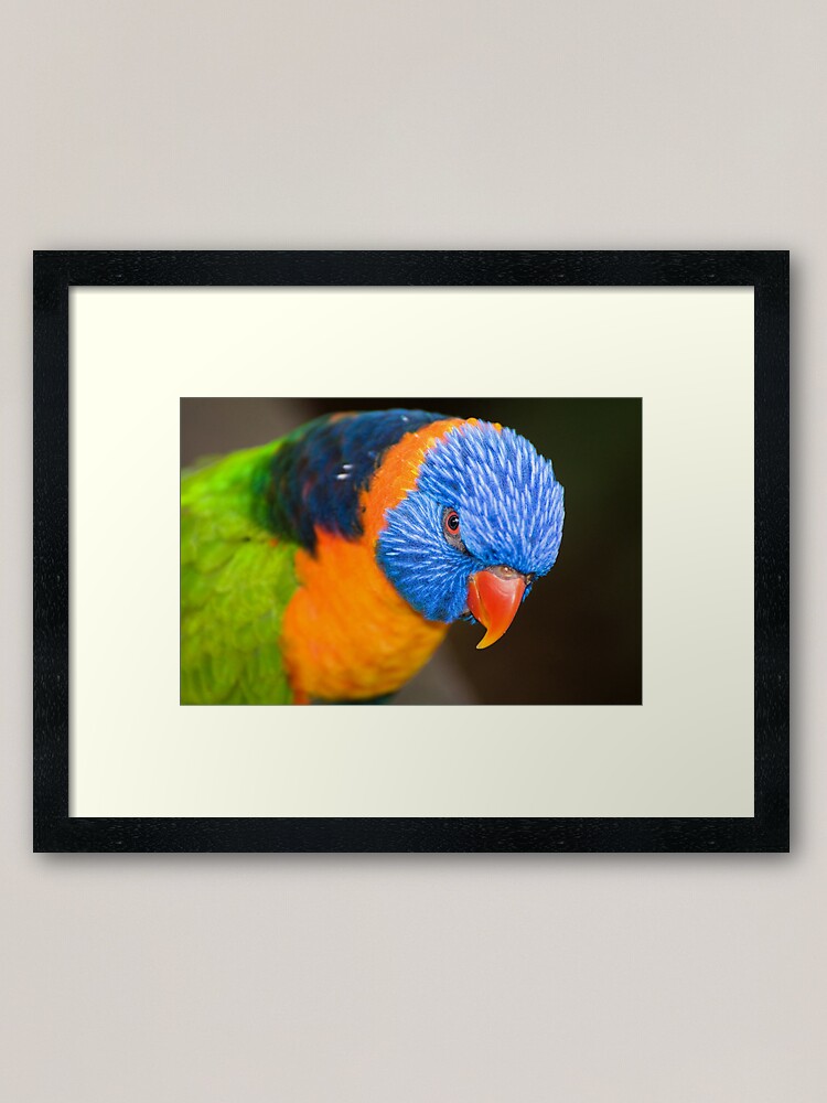 Alternate view of Stare Down Framed Art Print