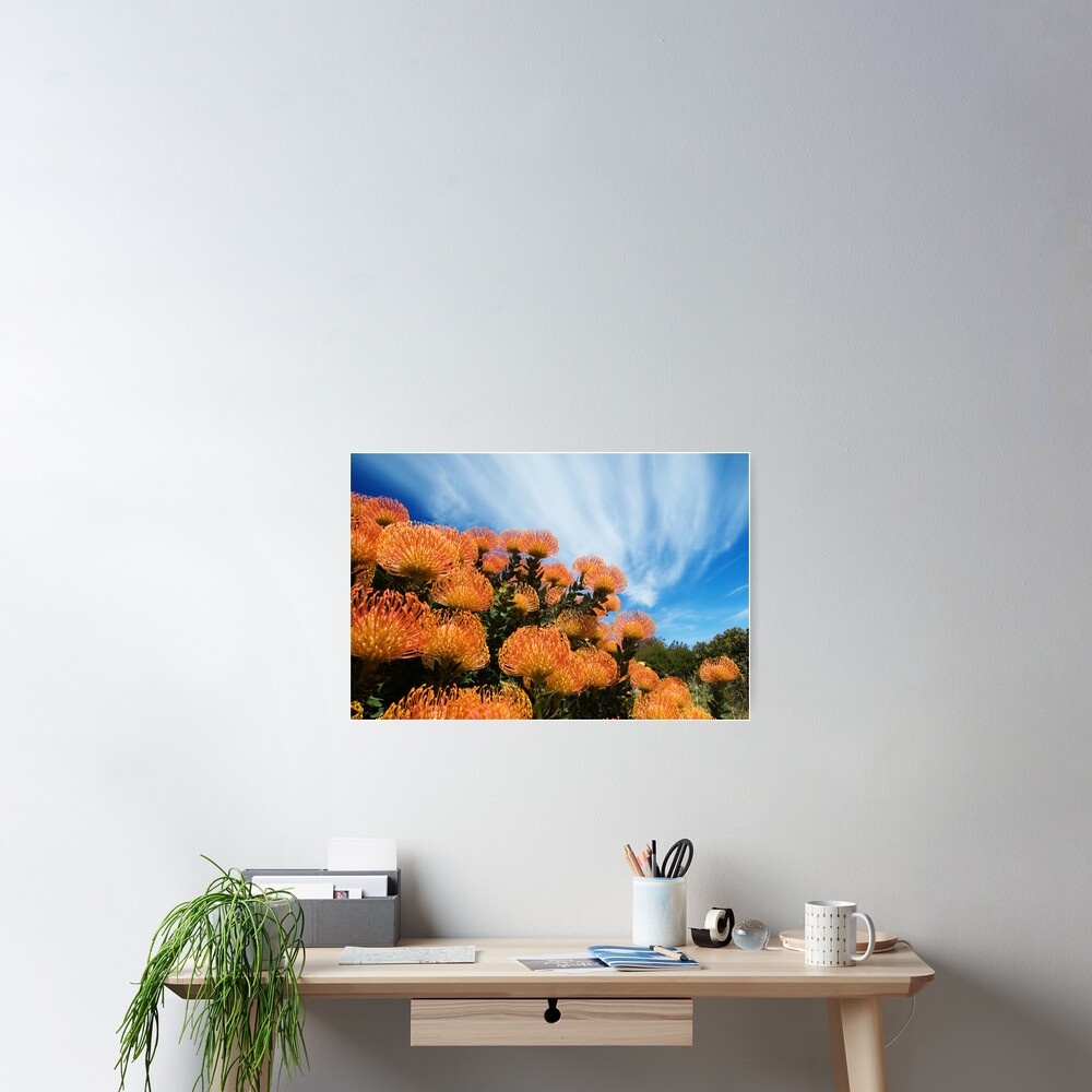 Incandescent Heights Poster