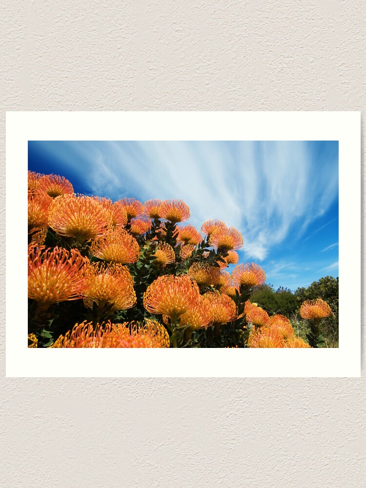 Alternate view of Incandescent Heights Art Print