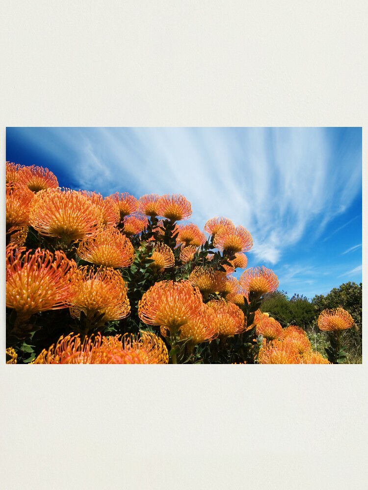 Alternate view of Incandescent Heights Photographic Print