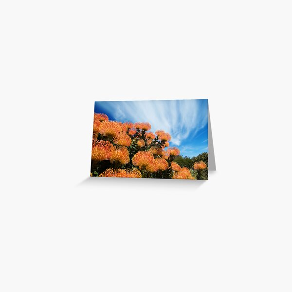 Incandescent Heights Greeting Card