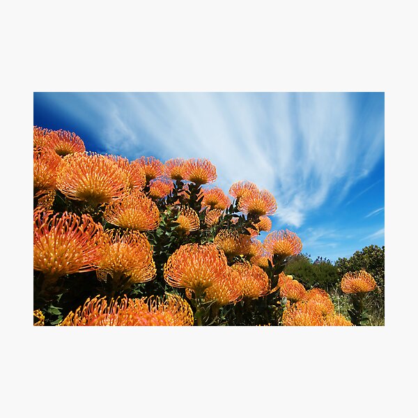 Incandescent Heights Photographic Print