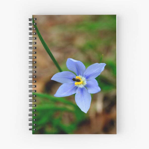 Item preview, Pollinator designed and sold by Bill Morgenstern.