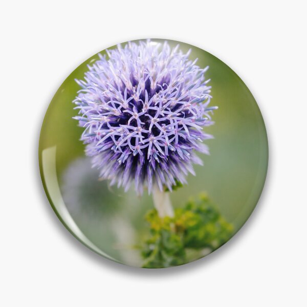 Item preview, Violet Thistle designed and sold by Ernie Steven Dickey.