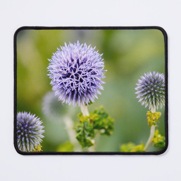 Item preview, Violet Thistle designed and sold by Ernie Steven Dickey.