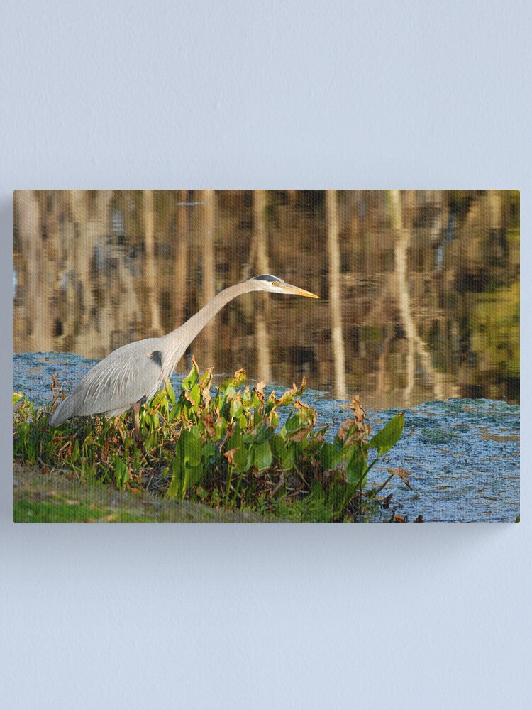 Alternate view of Poised Canvas Print