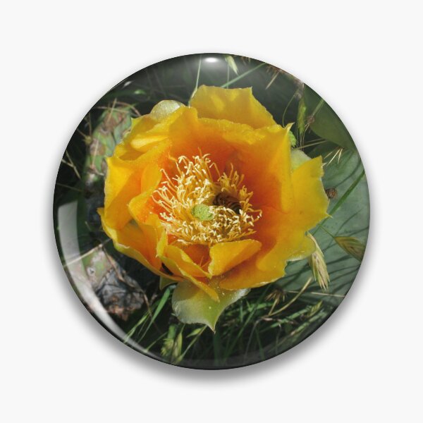 Item preview, Bee Careful designed and sold by Gemini Dreaming.