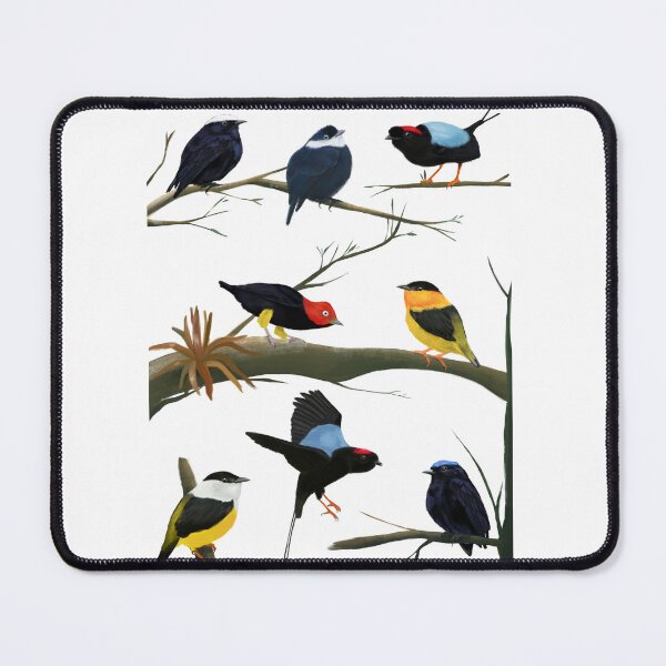 Item preview, manakins birds designed and sold by Kathrush.