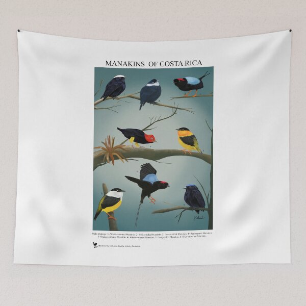 Item preview, manakins birds designed and sold by Kathrush.