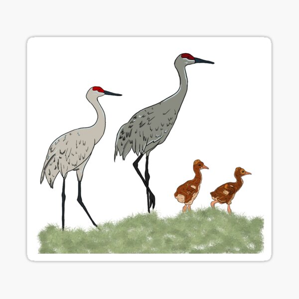 Item preview, Sandhill Crane designed and sold by twinrali99.