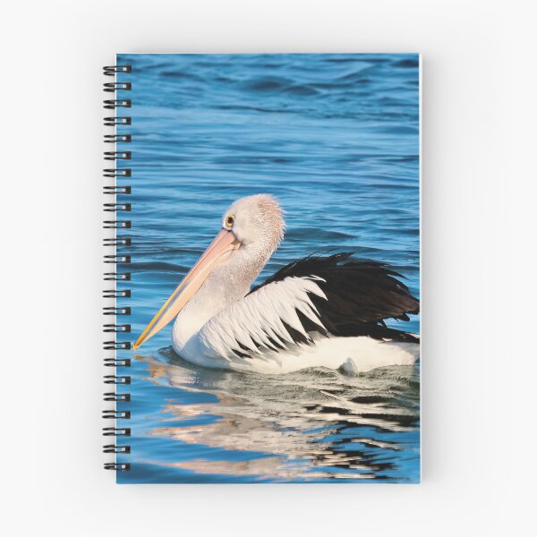 Item preview, Pelicans Tuncurry 100 designed and sold by kevin Chippindall.
