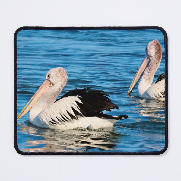 Item preview, Pelicans Tuncurry 100 designed and sold by kevin Chippindall.