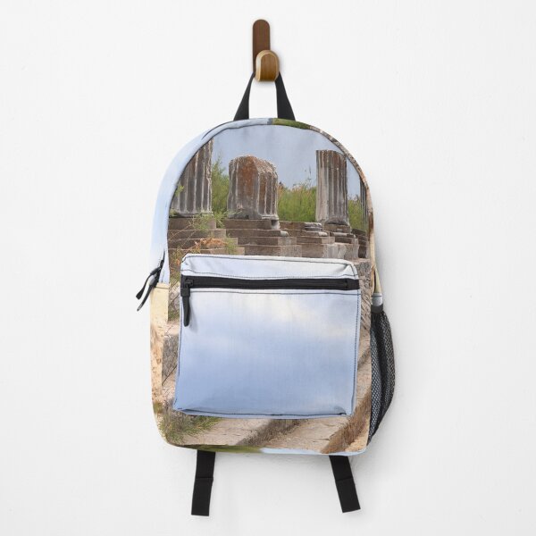 Item preview, Ionic Stoa on the Sacred Way (Miletus) II designed and sold by zumi.
