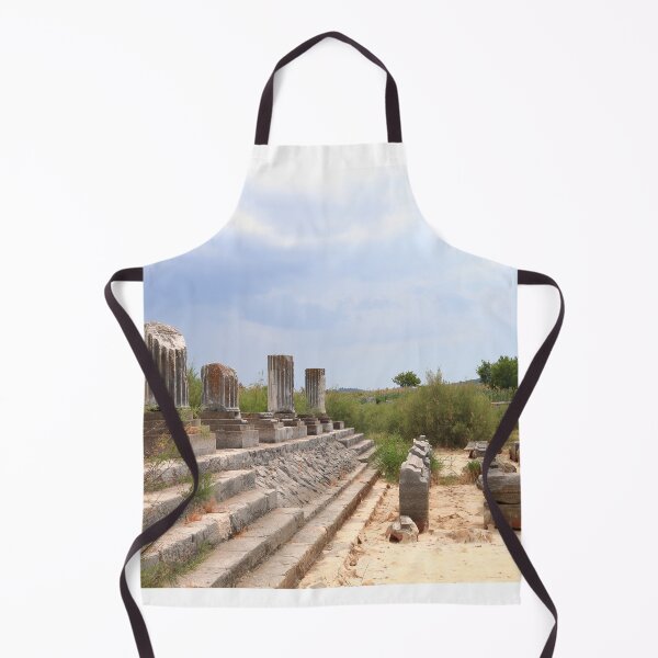 Item preview, Ionic Stoa on the Sacred Way (Miletus) II designed and sold by zumi.