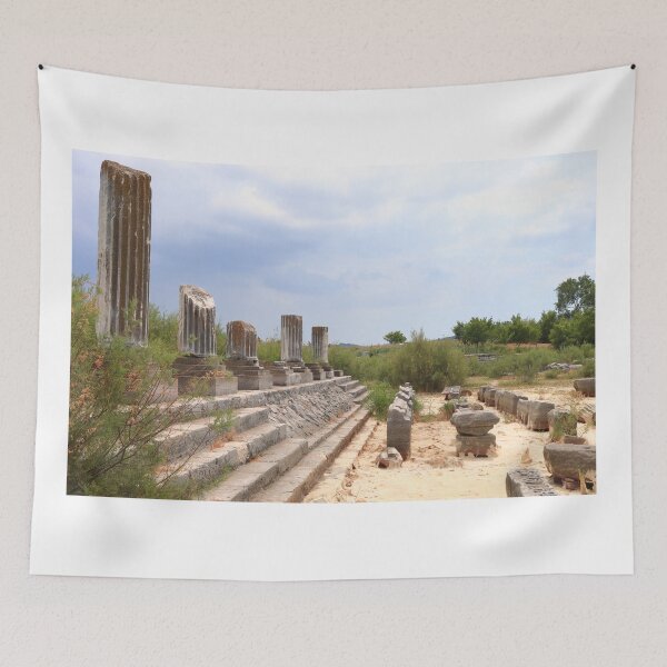 Item preview, Ionic Stoa on the Sacred Way (Miletus) II designed and sold by zumi.