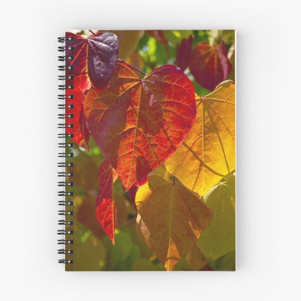 Item preview, Autumn Leaves designed and sold by Alisonchambers2.