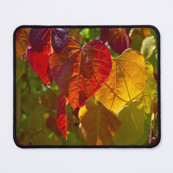 Item preview, Autumn Leaves designed and sold by Alisonchambers2.