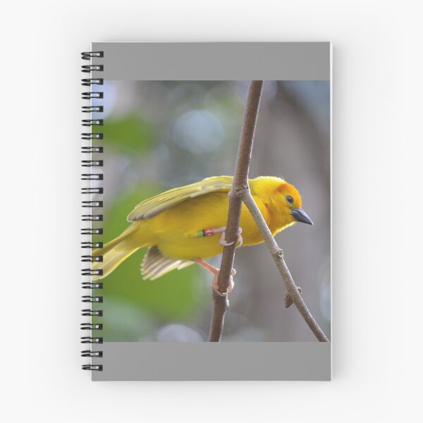 Item preview, Yellow Bird designed and sold by Moonwater.