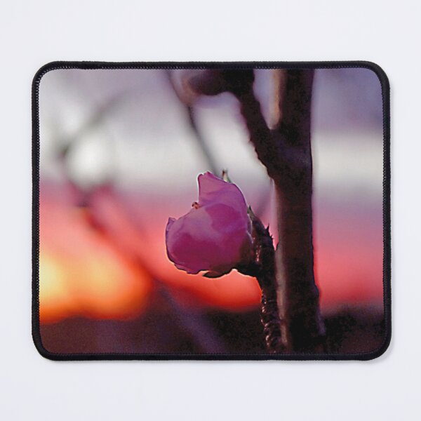 Item preview, "Dreams are essential to Life" designed and sold by Penny Kittel.