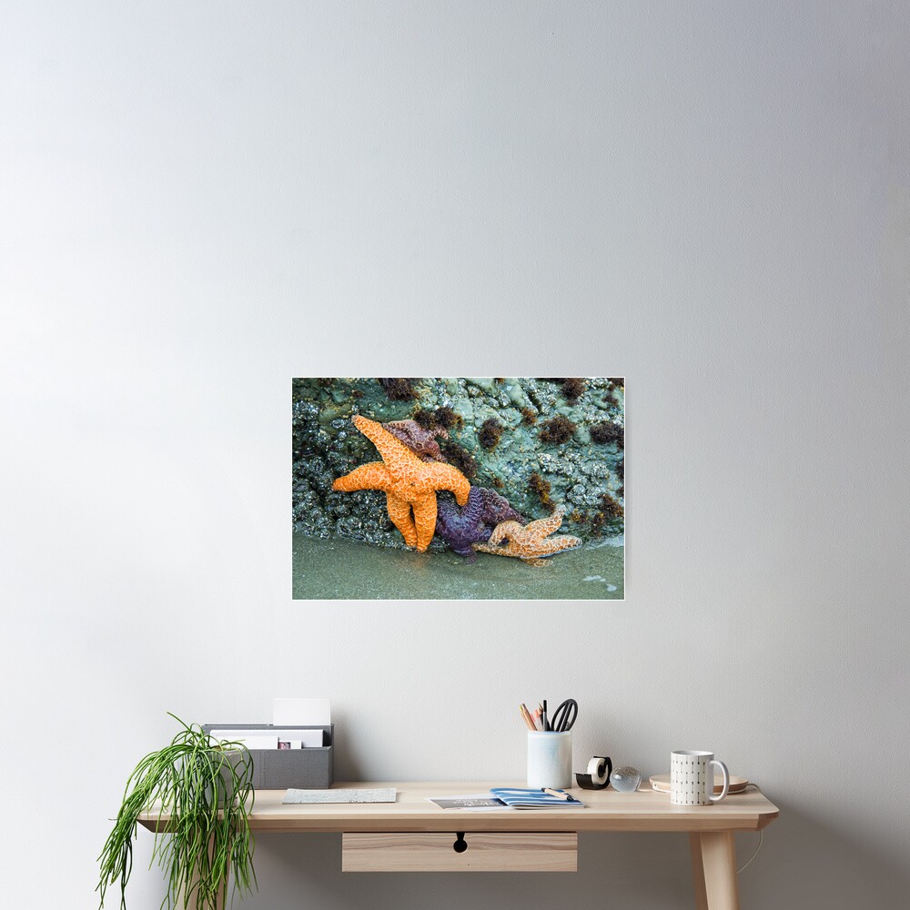 Testing the Water Poster