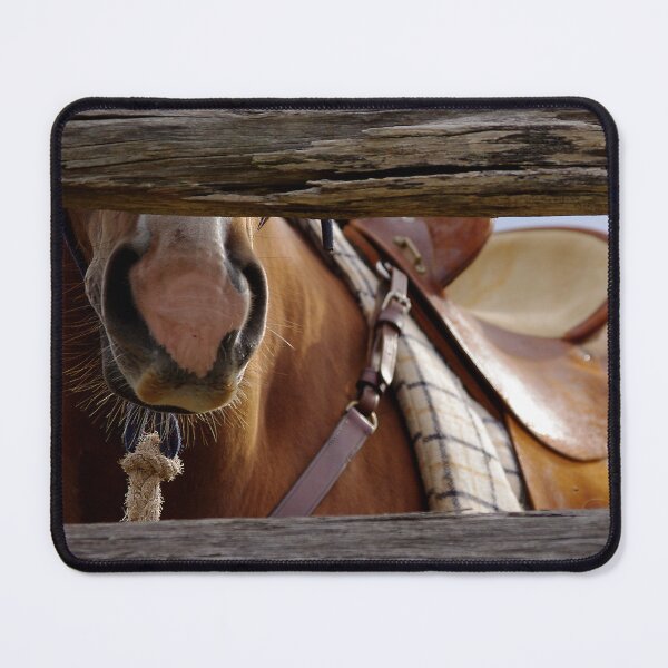 Item preview, Starkey designed and sold by Penny Kittel.