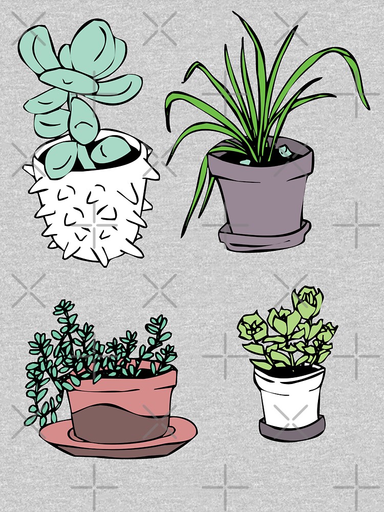 Succulents, Potted Plants by craftordiy