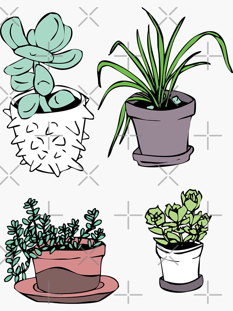 Succulents, Potted Plants by craftordiy