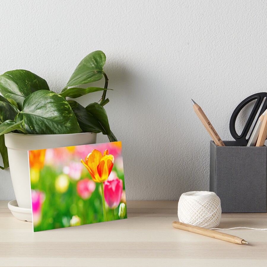 Item preview, Art Board Print designed and sold by Rissi.