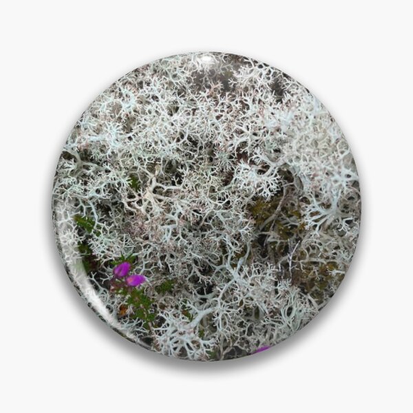 Item preview, Lichen Stain  designed and sold by Mouldy-Maggot.