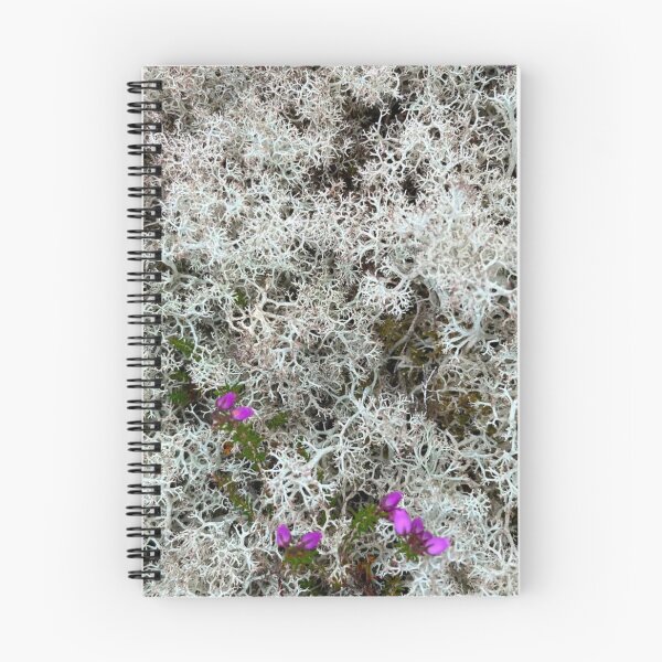 Item preview, Lichen Stain  designed and sold by Mouldy-Maggot.
