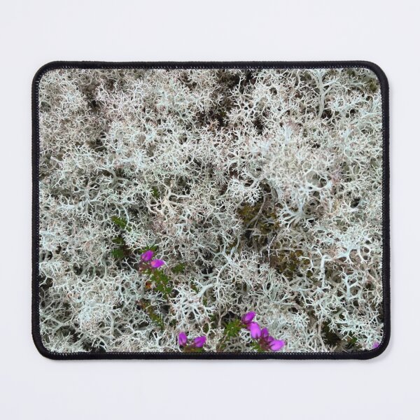 Item preview, Lichen Stain  designed and sold by Mouldy-Maggot.