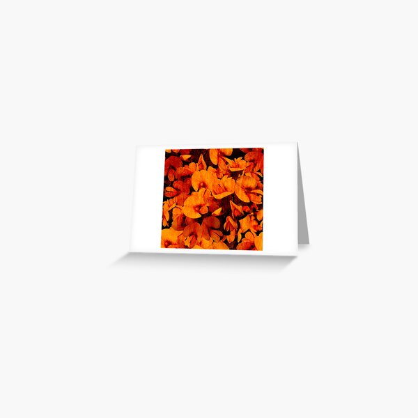 Wild Pea Greeting Card