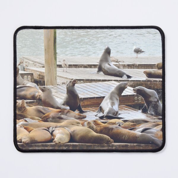 Item preview, Sea Lions in Historic Pier of San Francisco - Wildlife Photography designed and sold by CarolinaReina.