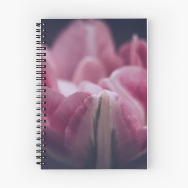 Item preview, Pink Tulip Macro Photograph - White Blooming Petals designed and sold by LeighMilesArt.