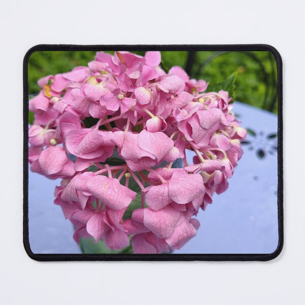 Item preview, Pink Hydrangeas On A Table designed and sold by SCTBUFFALOPHOTO.