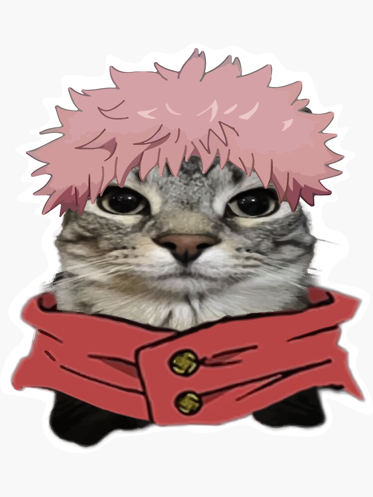 Anime Kaisen Character Cats Yuji