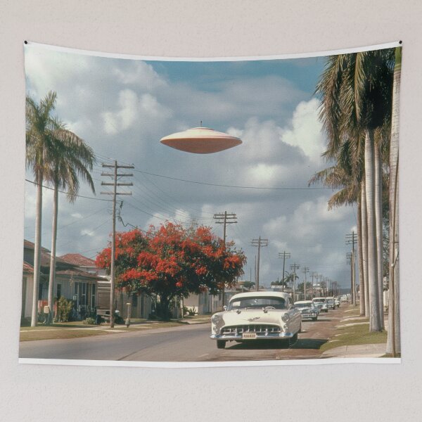 Item preview, UFO spotting designed and sold by PricklyPeanut.