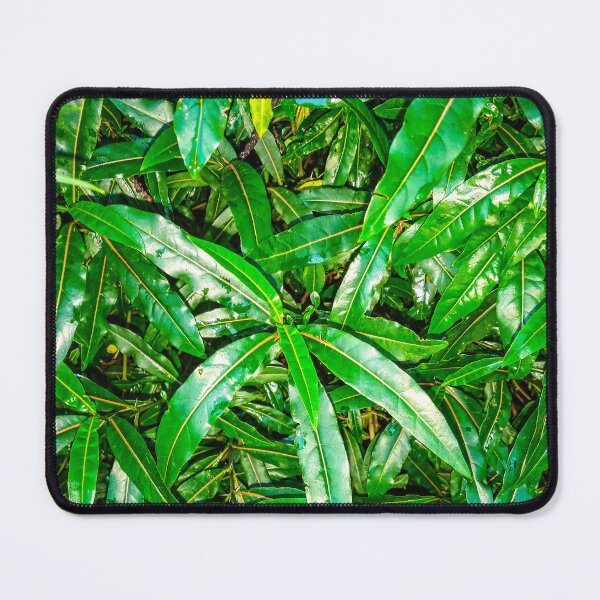 Item preview, Photographic tree leaves designed and sold by Wolagno.