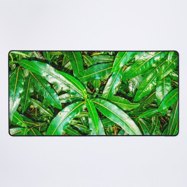 Item preview, Photographic tree leaves designed and sold by Wolagno.