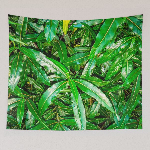 Item preview, Photographic tree leaves designed and sold by Wolagno.
