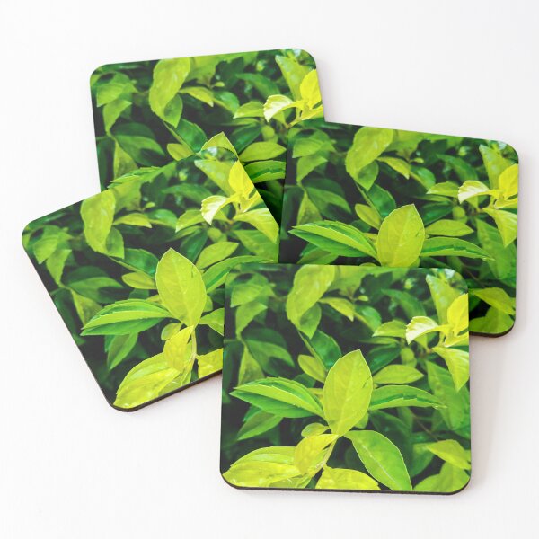 Item preview, Tree leaves photo collection designed and sold by Wolagno.