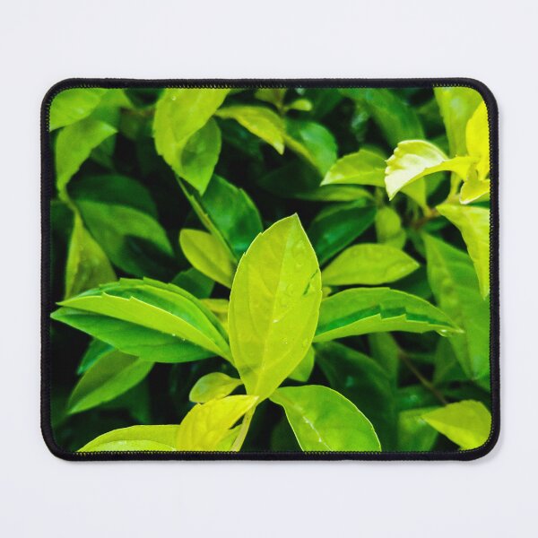 Item preview, Tree leaves photo collection designed and sold by Wolagno.
