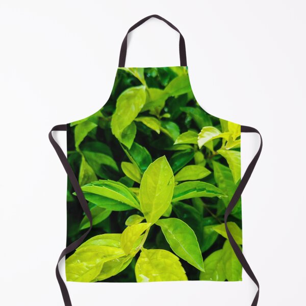Item preview, Tree leaves photo collection designed and sold by Wolagno.