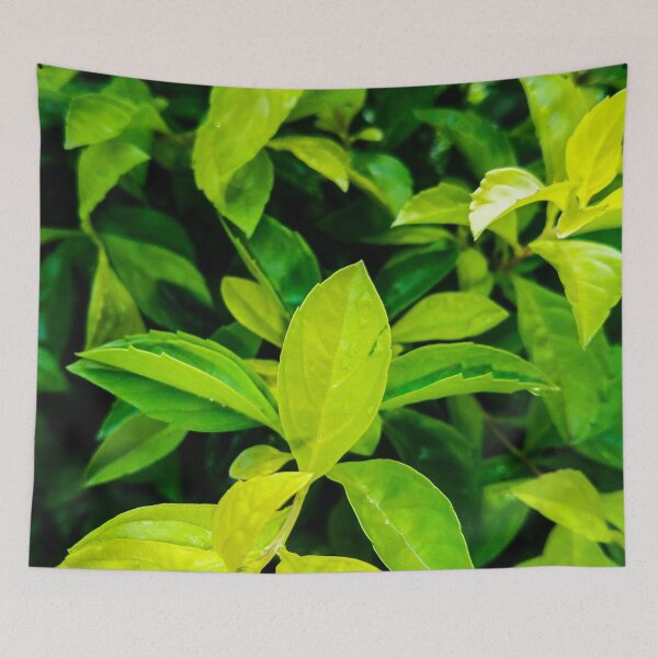 Item preview, Tree leaves photo collection designed and sold by Wolagno.