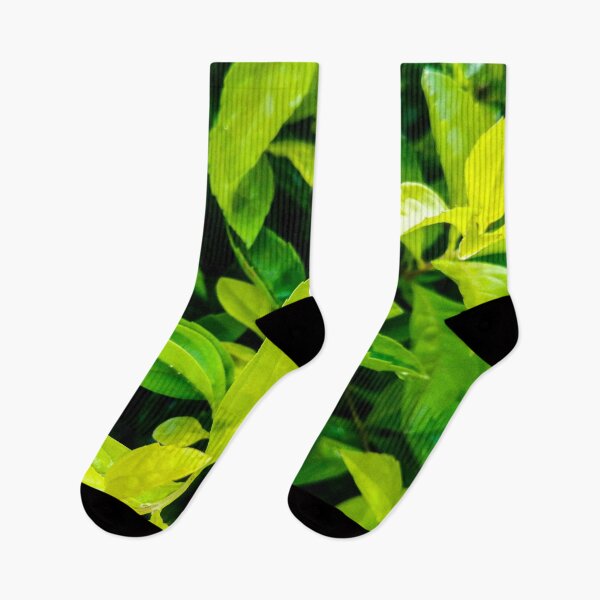Item preview, Tree leaves photo collection designed and sold by Wolagno.