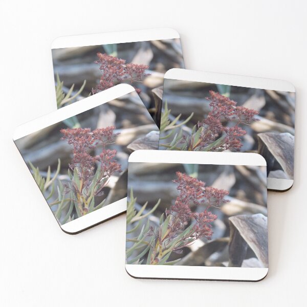 Item preview, Maroon Flower designed and sold by Naomi80.