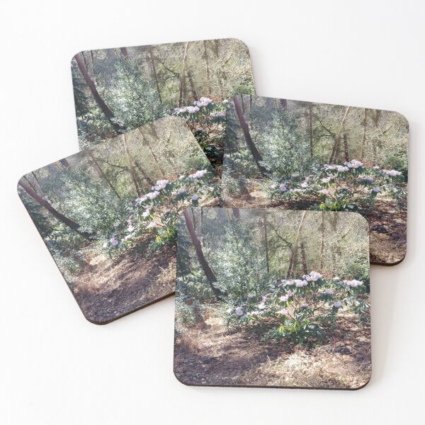 Item preview, Kelling Heath Rhododendron designed and sold by Jim Key.