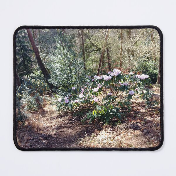 Item preview, Kelling Heath Rhododendron designed and sold by Jim Key.