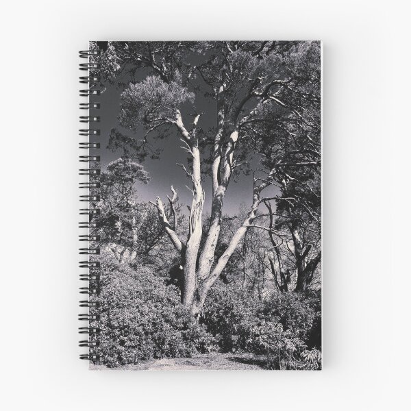 Item preview, Silver Birch Black and white designed and sold by Jim Key.